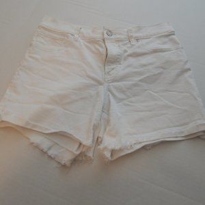 Express Shortie Mid Rise Shorts